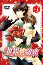 Sekai-ichi Hatsukoi 1 Temporada Online