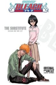 Bleach 1 Temporada Online