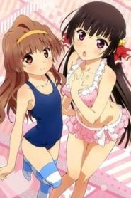 Onii-chan Dakedo Ai sae Areba Kankei nai yo ne 1 Temporada Online
