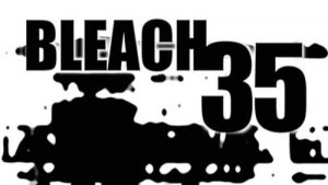 Bleach Episodio 35