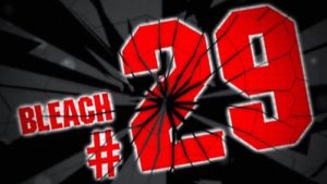 Bleach Episodio 29