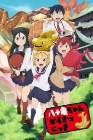 Yatogame-chan Kansatsu Nikki 1 Temporada Online