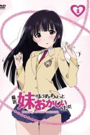 Saikin, Imouto no Yousu ga Chotto Okashiinda ga 1 Temporada Online