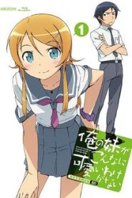Ore No Imouto Ga Konna Ni Kawaii Wake Ga Nai 1 Temporada Online