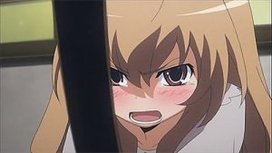 Toradora Episodio 1