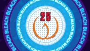 Bleach Episodio 25