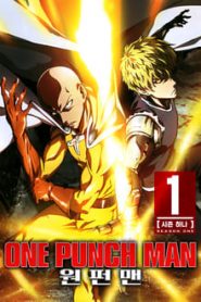 One Punch Man 1 Temporada Online