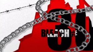 Bleach Episodio 30