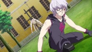 Seikon no Qwaser Episodio 12