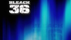 Bleach Episodio 36