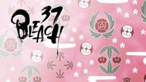 Bleach Episodio 37