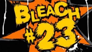 Bleach Episodio 23
