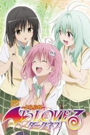 To Love-Ru: Darkness 2 Temporada Online