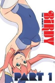 Tetsuwan Birdy Decode 1 Temporada Online