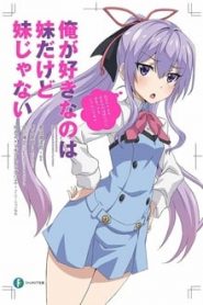 Ore ga Suki nano wa Imouto dakedo Imouto ja Nai 1 Temporada Online