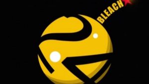 Bleach Episodio 24