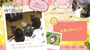 Doukyonin wa Hiza, Tokidoki, Atama no Ue. Episodio 12