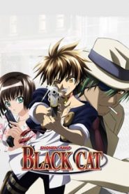 Black Cat 1 Temporada Online