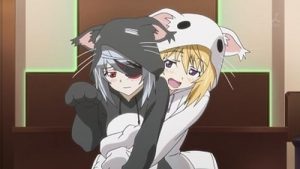 IS: Infinite Stratos 2 Episodio 1