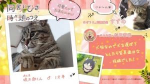 Doukyonin wa Hiza, Tokidoki, Atama no Ue. Episodio 9