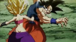 Dragon Ball Super Episodio 113