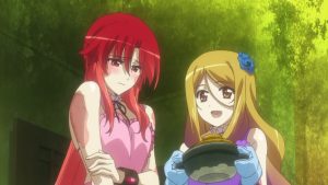 Dakara Boku wa, H ga Dekinai. Episodio 10