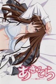 Aki Sora 1 Temporada Online