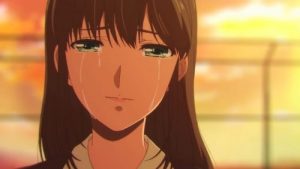 Domestic na Kanojo Episodio 12