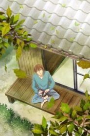 Doukyonin wa Hiza, Tokidoki, Atama no Ue. 1 Temporada Online