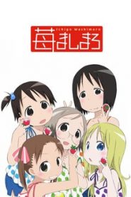 Ichigo Mashimaro 1 Temporada Online