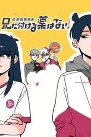 Ani ni Tsukeru Kusuri wa Nai! 1 Temporada Online