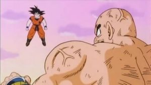 Dragon Ball Z Episodio 29