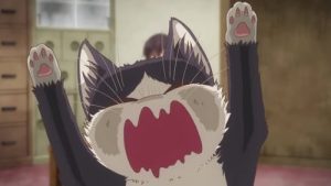 Doukyonin wa Hiza, Tokidoki, Atama no Ue. Episodio 2
