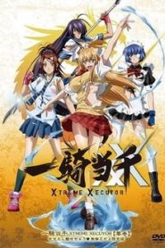 Ikkitousen Xtreme Xecutor Online