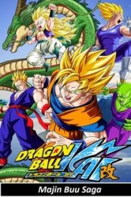 Dragon Ball Kai 6 Temporada Online