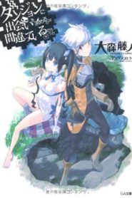 Dungeon ni Deai o Motomeru no wa Machigatteiru Darou ka? 1 Temporada Online