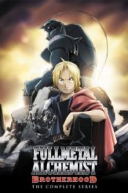 Fullmetal Alchemist: Brotherhood 1 Temporada Online