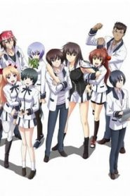Maji de Watashi ni Koi Shinasai! 1 Temporada Online