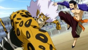 Fairy Tail Episodio 162
