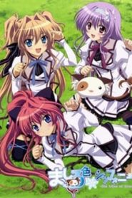 Mashiroiro Symphony: The Color Of Lovers 1 Temporada Online