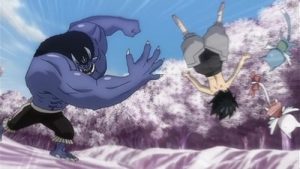 Fairy Tail Episodio 231