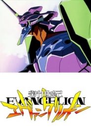Neon Genesis Evangelion 1 Temporada Online