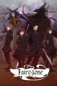 Fairy Gone 1 Temporada Online