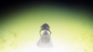 Mushishi Episodio 2