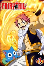 Fairy Tail 1 Temporada Online