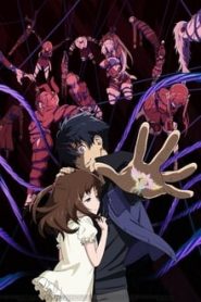 Big Order 1 Temporada Online