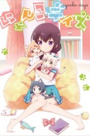 Nyanko Days 1 Temporada Online