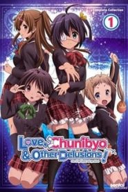 Chuunibyou Demo Koi Ga Shitai 1 Temporada Online