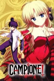 Campione 1 Temporada Online