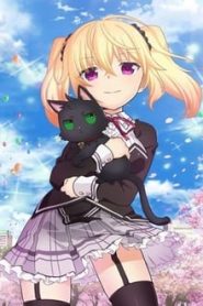 Nora to Oujo to Noraneko Heart 1 Temporada Online